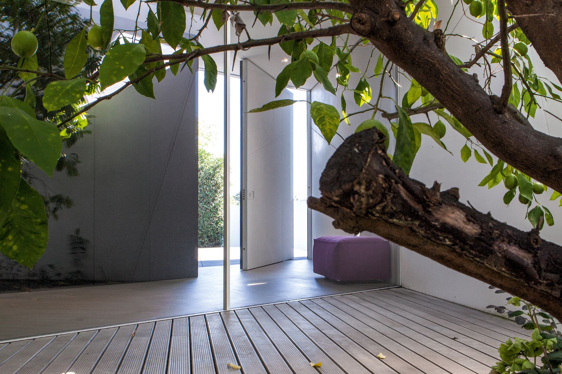 Contemporary Architectures: Diamond Tree in Ponzano Veneto - Oikos